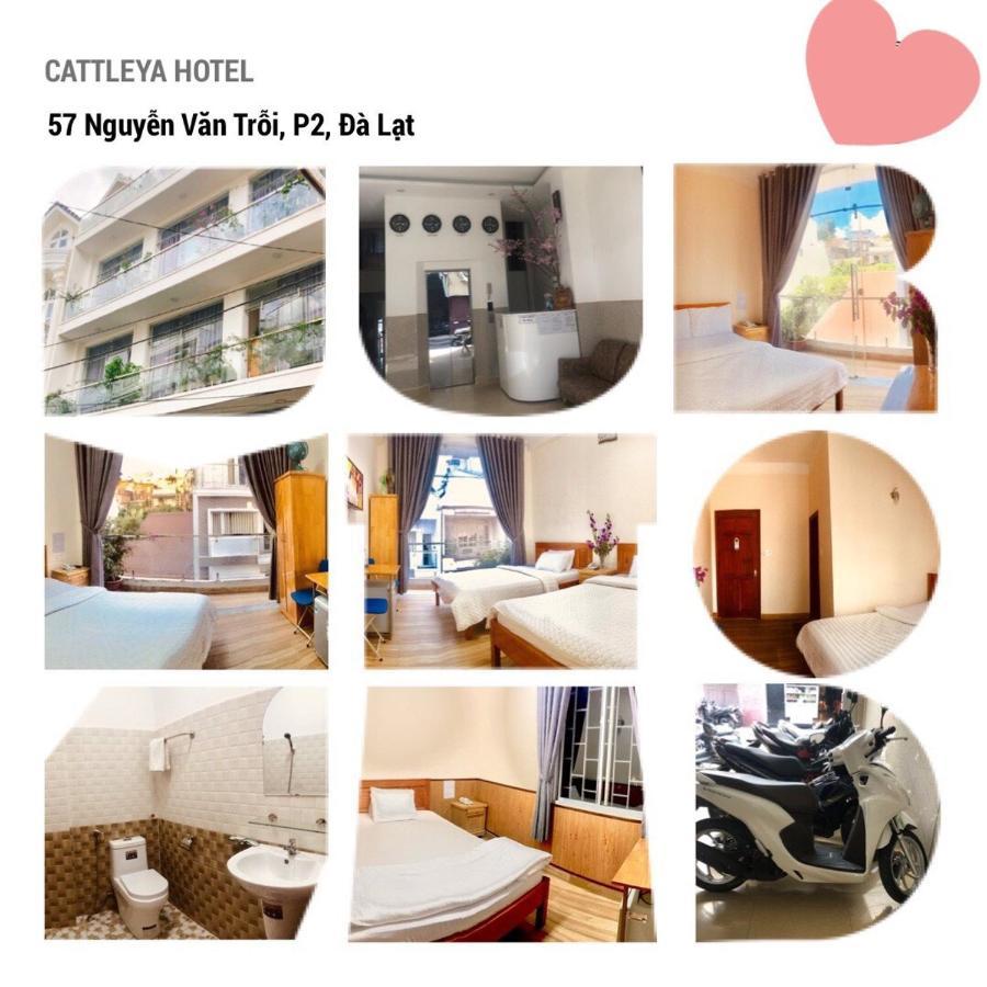 Cattleya Hotel Da Lat Buitenkant foto